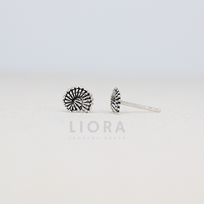 Shell Stud Earrings