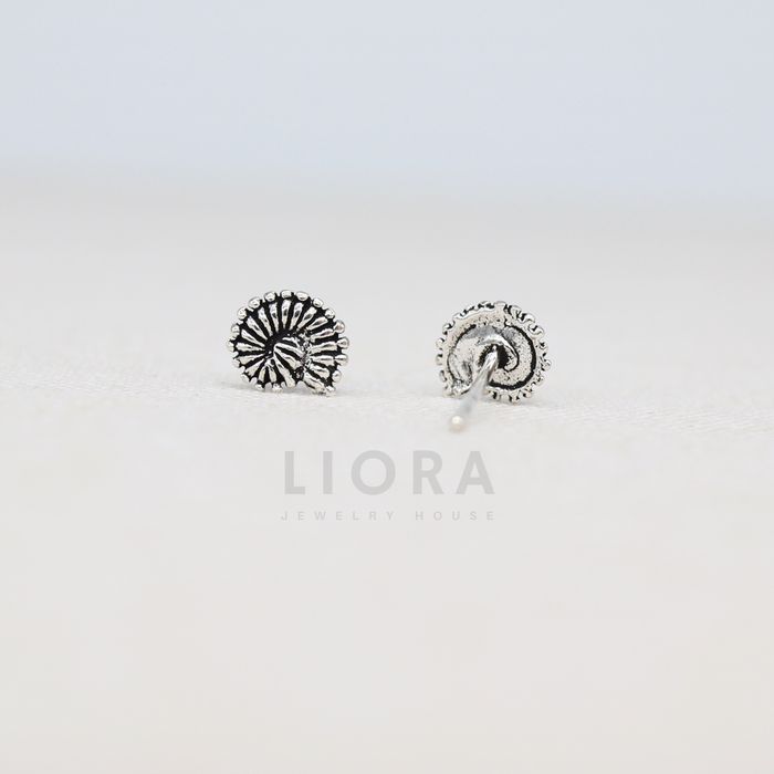 Shell Stud Earrings