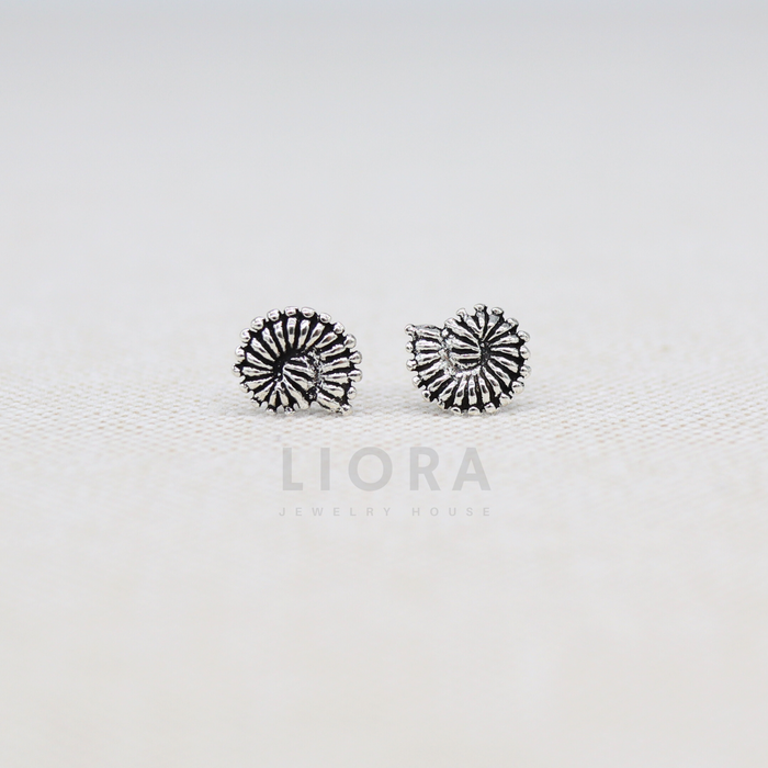 Shell Stud Earrings